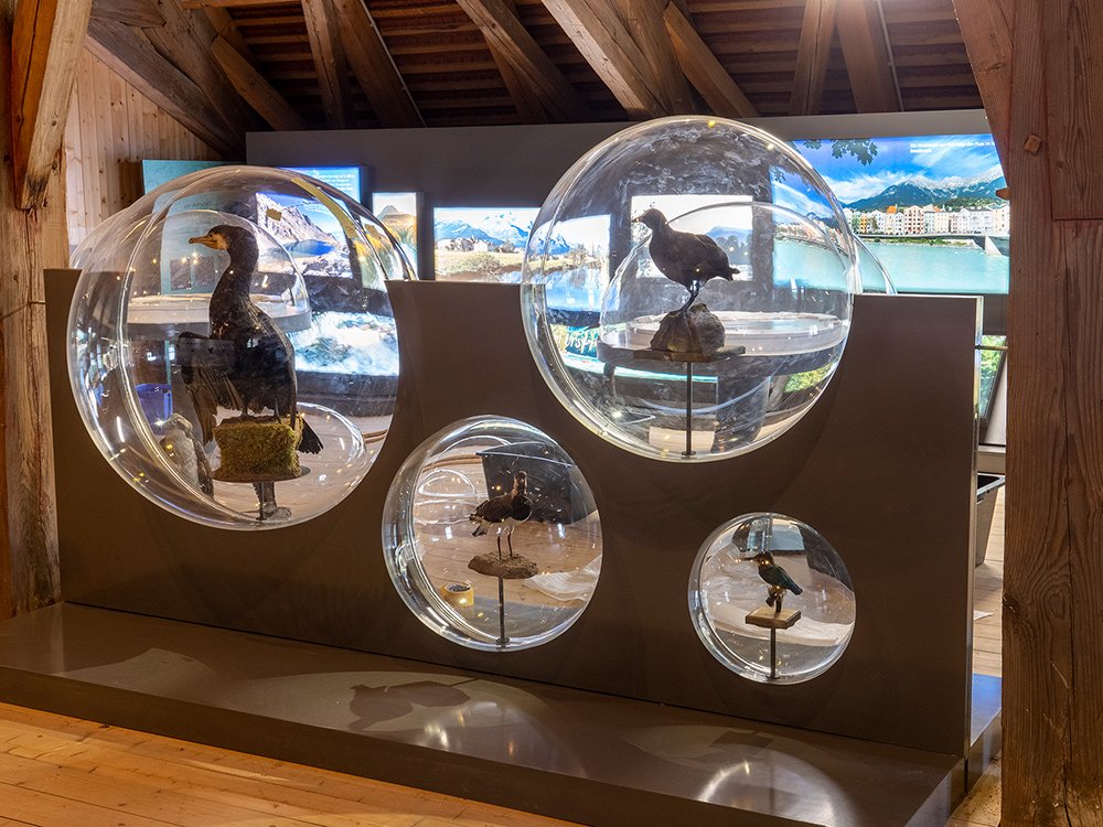 2020 – Schloss Frauenstein – Mining © www.prospera.at